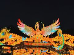 -武汉园博园(武汉自然博物馆)