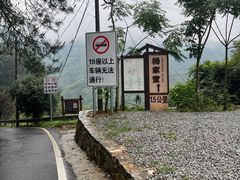 -杨家堂村