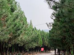 -九女仙湖景区