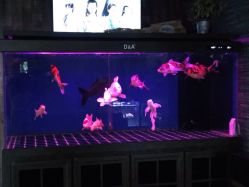 -青木造型HAIR·あおき髪を刈る潮人店