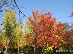 -香山公园-东宫门售票处