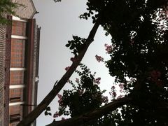 iphone_upload_pic-龙潭水乡