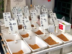 -清平路水族市场