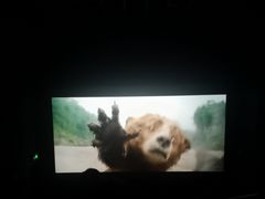 -博纳国际影城IMAX(中央大道店)