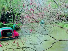-南汇桃花村