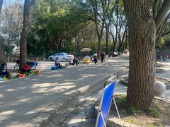 -上海佘山国家森林公园天马山园