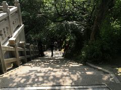 -灵岩山风景区