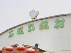 -石岐乳鸽村(桥观坊南四巷店)