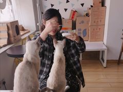 -Cappucimeow猫咪咖啡馆(韦伯时代店)