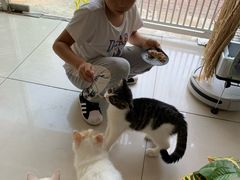 -平行世界·猫咖(首经贸店)