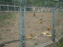 -西安秦岭野生动物园