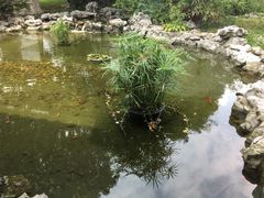 -丁山花园酒店-明园餐厅