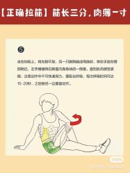 -香薇妮丝女子减肥院