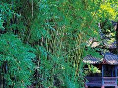 -三苏祠