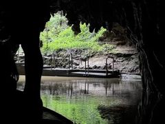 -怀托摩萤火虫洞