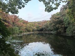 -灵谷景区