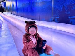 -海合安成都极地海洋公园