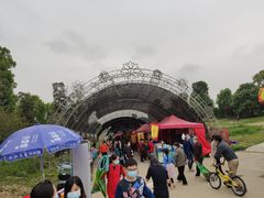 -秀丽东方