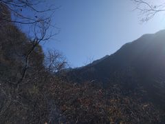 -陕西省红河谷森林公园