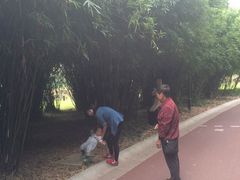 吴江公园-吴江公园