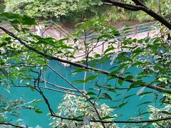 -石台牯牛降景区