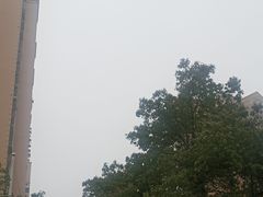 -李氏紫竹林卤粉(火车站店)