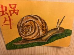 -八哥美术·成人美术画室(总校区)