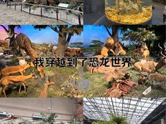 -国家自然博物馆