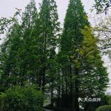 天府新区南湖公园