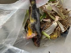 -华润苏果(晓庄国际商业广场店)