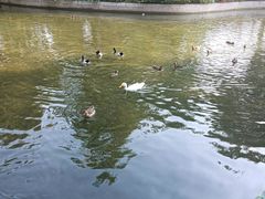 -莲花池公园