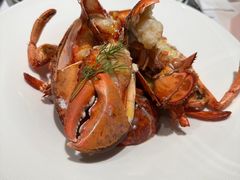 -雅室牛排(仁爱圆环店)