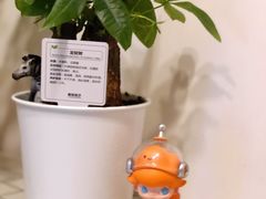 -鹿岛会员店 (龙湖三千集天街店)