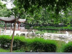 -范蠡湖公园