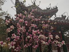 -红螺寺
