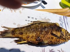 -楚鱼王·河鲜·湖北菜(华农店)