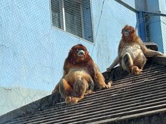 -大连森林动物园