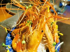 -人间酒暖·Go blanc·烧鸟·深夜食堂(陆家嘴店)
