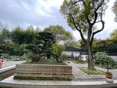 -上海醉白池公园