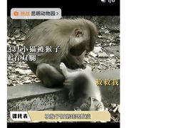 -昆明动物园