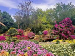 -杭州植物园