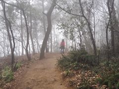 -灵岩山风景区