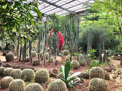 -呀路古热带植物园