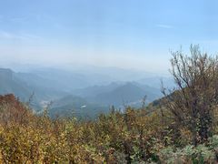 -白草畔自然风景区