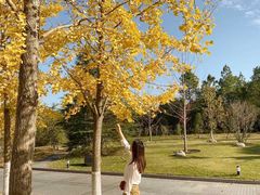 -浙江农林大学(东湖校区)