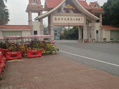 -大湾区中央湿地公园-十九涌