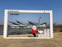 -盐城丹顶鹤湿地生态旅游区