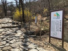 -北京鹫峰国家森林公园