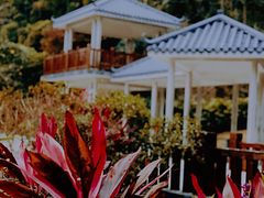 -火炉山森林公园