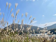 -浙西天池景区